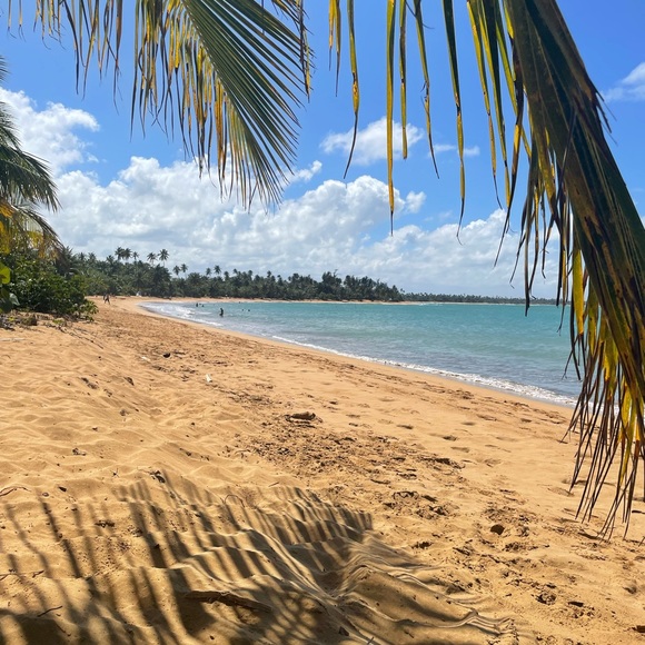 Meet your Posher, Ray - Picture 1 of 1